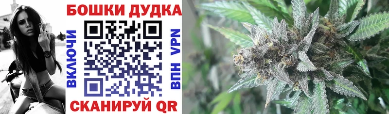 Виды наркотиков купить Железногорск-Илимский Конопля АМФ ГАШИШ Меф мяу мяу COCAIN A-PVP