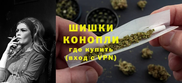 PSILOCYBIN Алзамай