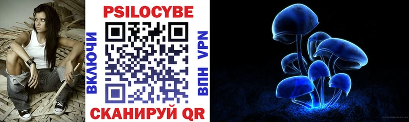Псилоцибиновые грибы Cubensis Железногорск-Илимский